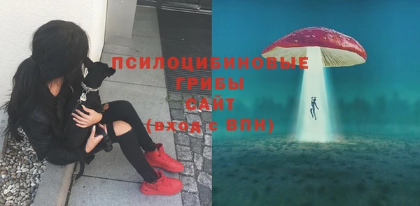 не бодяженный Богданович