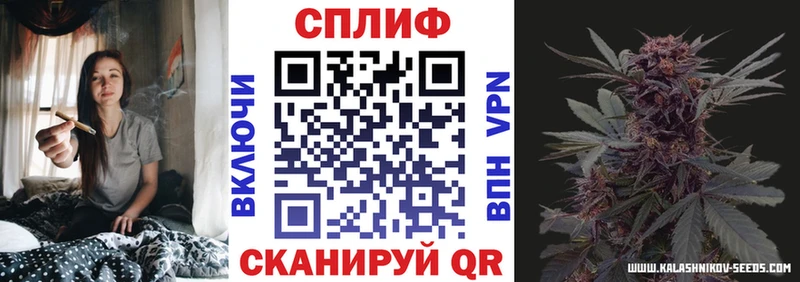 Конопля OG Kush  Купить закладки  Дыгулыбгей 